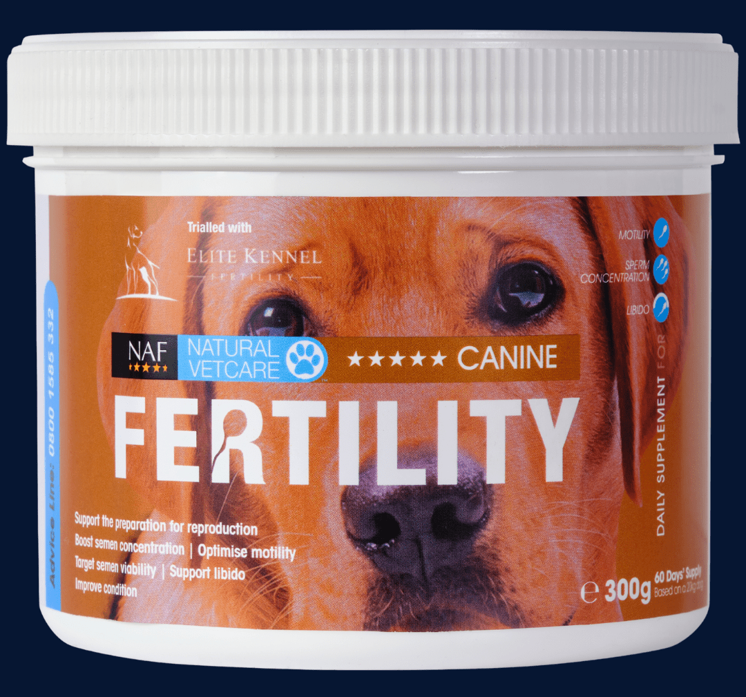 5* Canine Fertility Supplement for Stud Dogs 300g